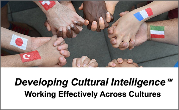 Image of cultural competencies workshop