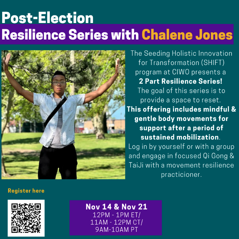 Image of Resilience Series with Chalene Jones